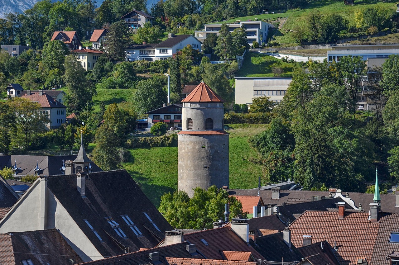 Schützenvereine im Bezirk Feldkirch